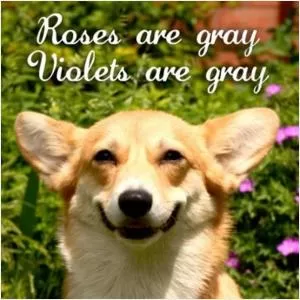 Roses are grey, violets are grey Picture Quote #1