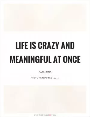 Life is crazy and meaningful at once Picture Quote #1