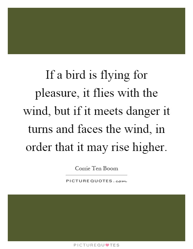 If a bird is flying for pleasure, it flies with the wind, but if it meets danger it turns and faces the wind, in order that it may rise higher Picture Quote #1
