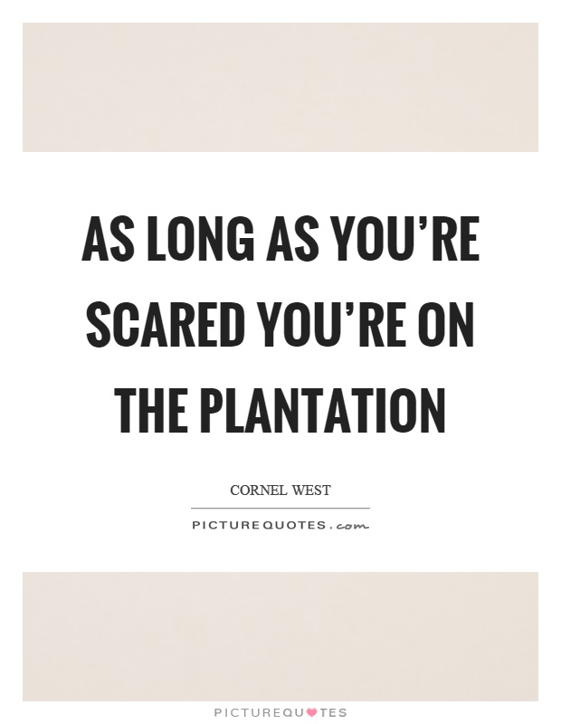 As long as you're scared you're on the plantation Picture Quote #1