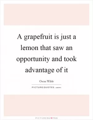 A grapefruit is just a lemon that saw an opportunity and took advantage of it Picture Quote #1