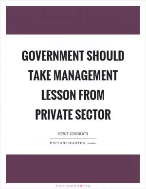 Government should take management lesson from private sector Picture Quote #1