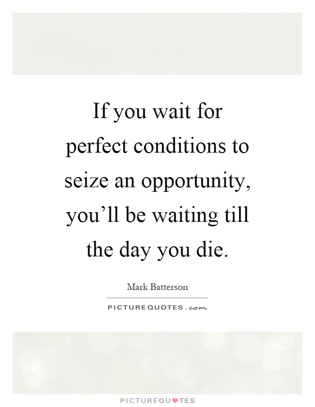 If you wait for perfect conditions to seize an opportunity, you'll be waiting till the day you die Picture Quote #1