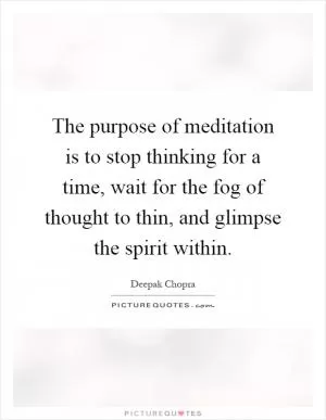 The purpose of meditation is to stop thinking for a time, wait for the fog of thought to thin, and glimpse the spirit within Picture Quote #1