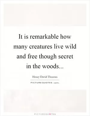 It is remarkable how many creatures live wild and free though secret in the woods Picture Quote #1