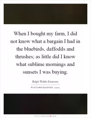 When I bought my farm, I did not know what a bargain I had in the bluebirds, daffodils and thrushes; as little did I know what sublime mornings and sunsets I was buying Picture Quote #1
