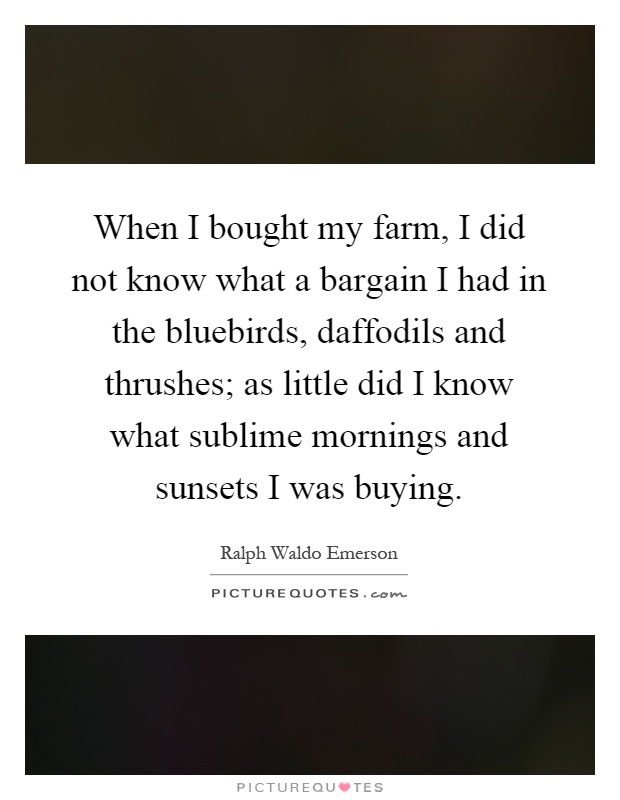 When I bought my farm, I did not know what a bargain I had in the bluebirds, daffodils and thrushes; as little did I know what sublime mornings and sunsets I was buying Picture Quote #1