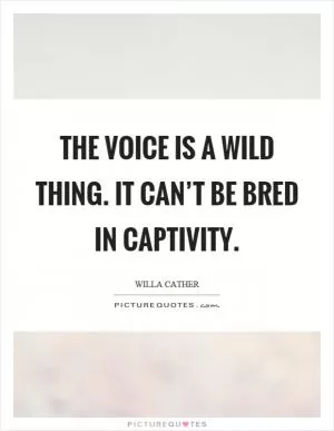 The voice is a wild thing. It can’t be bred in captivity Picture Quote #1