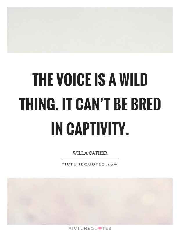 The voice is a wild thing. It can't be bred in captivity Picture Quote #1