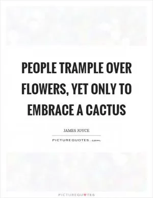 People trample over flowers, yet only to embrace a cactus Picture Quote #1