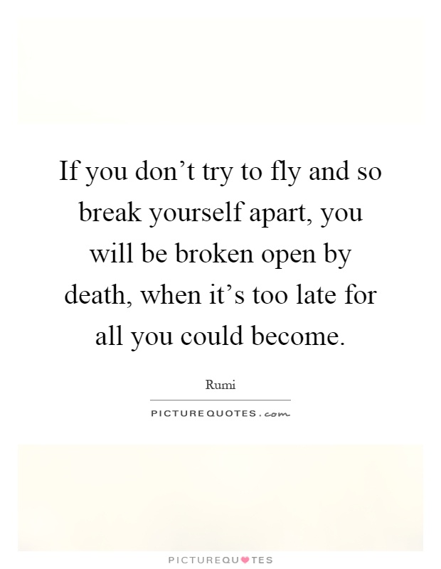 If you don't try to fly and so break yourself apart, you will be broken open by death, when it's too late for all you could become Picture Quote #1