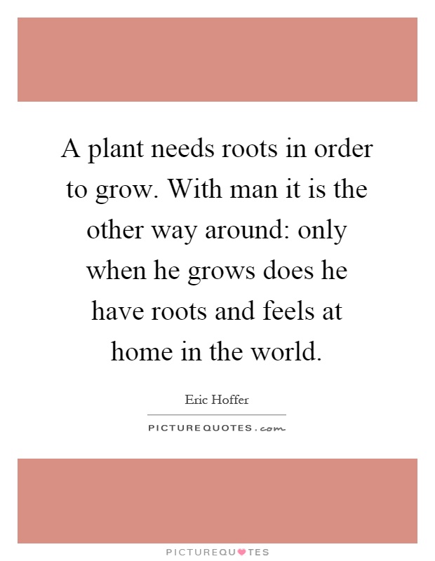 A plant needs roots in order to grow. With man it is the other way around: only when he grows does he have roots and feels at home in the world Picture Quote #1