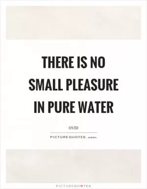 There is no small pleasure in pure water Picture Quote #1