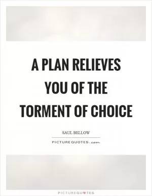 A plan relieves you of the torment of choice Picture Quote #1