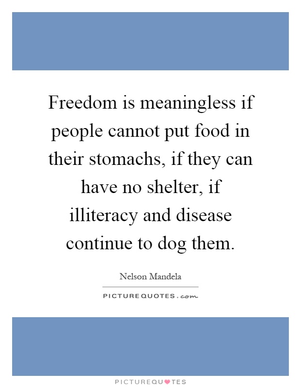 Freedom is meaningless if people cannot put food in their stomachs, if they can have no shelter, if illiteracy and disease continue to dog them Picture Quote #1