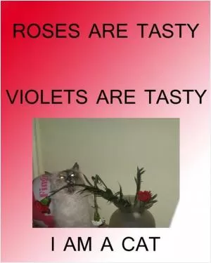 Roses are tasty. Violets are tasty. I am a cat Picture Quote #1