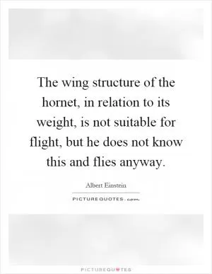 The wing structure of the hornet, in relation to its weight, is not suitable for flight, but he does not know this and flies anyway Picture Quote #1