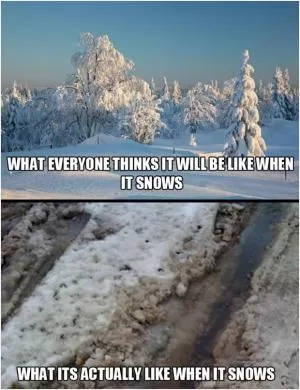 What everyone thinks it will be like when it snows. What it's actually like when it snows Picture Quote #1