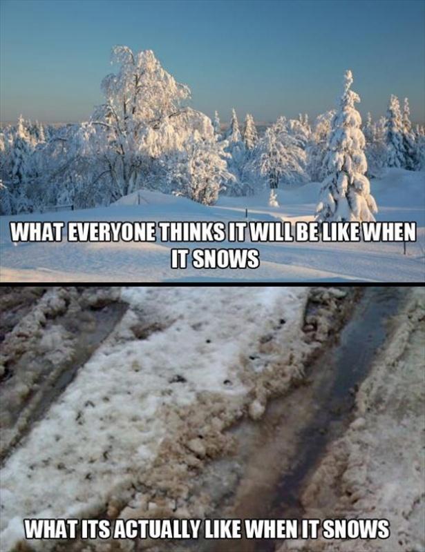 What everyone thinks it will be like when it snows. What it's actually like when it snows Picture Quote #1