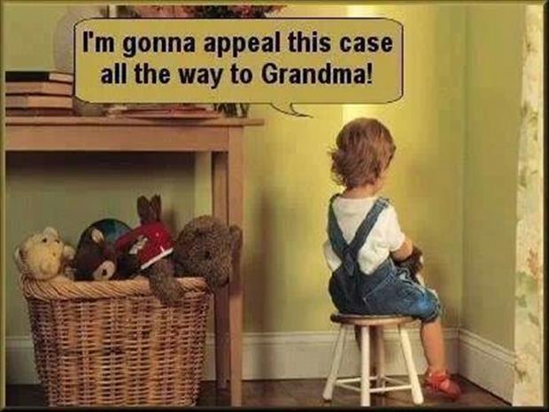 I'm gonna appeal this case all the way to grandma! Picture Quote #1