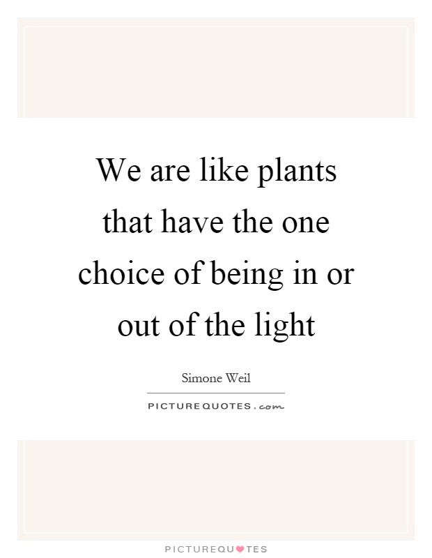 We are like plants that have the one choice of being in or out of the light Picture Quote #1