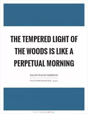 The tempered light of the woods is like a perpetual morning Picture Quote #1