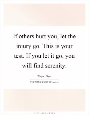 If others hurt you, let the injury go. This is your test. If you let it go, you will find serenity Picture Quote #1