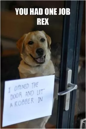 You had one job Rex. I opened the door and let a robber in Picture Quote #1
