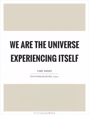 We are the universe experiencing itself Picture Quote #1