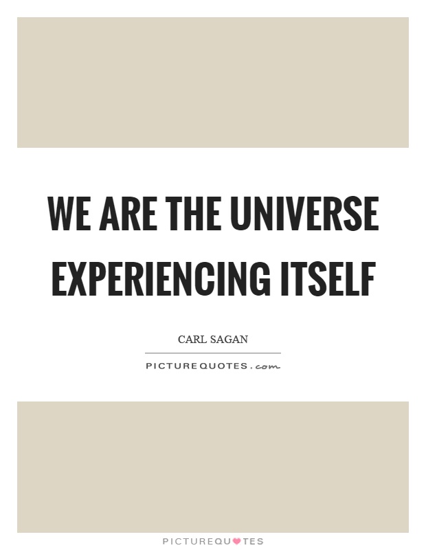 We are the universe experiencing itself Picture Quote #1