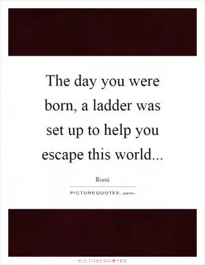 The day you were born, a ladder was set up to help you escape this world Picture Quote #1
