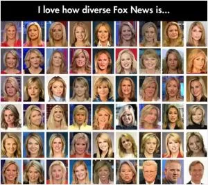 I love how diverse Fox News is Picture Quote #1