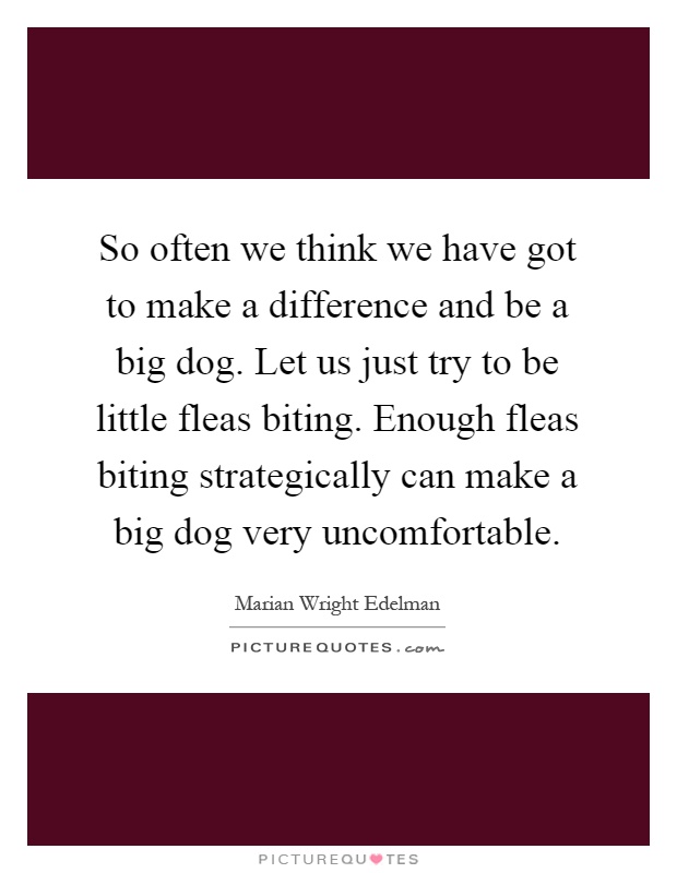 So often we think we have got to make a difference and be a big dog. Let us just try to be little fleas biting. Enough fleas biting strategically can make a big dog very uncomfortable Picture Quote #1