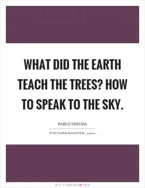 What did the earth teach the trees? How to speak to the sky Picture Quote #1