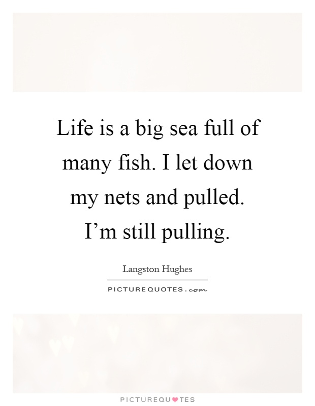 Life is a big sea full of many fish. I let down my nets and pulled. I'm still pulling Picture Quote #1