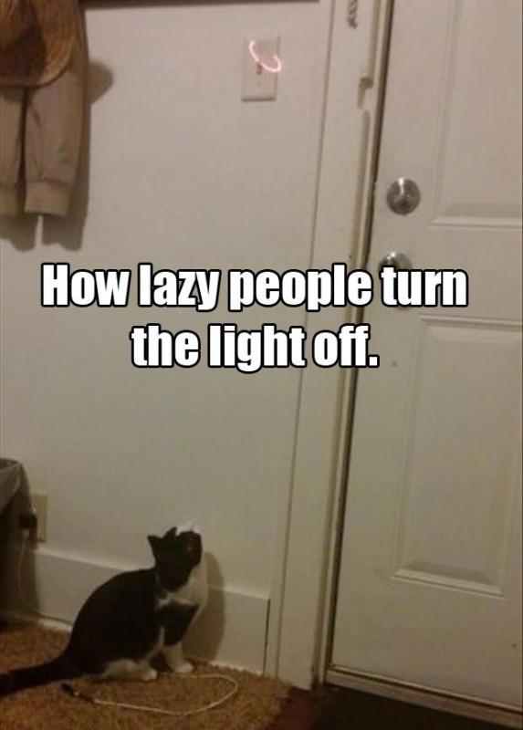 How lazy people turn the light off Picture Quote #1