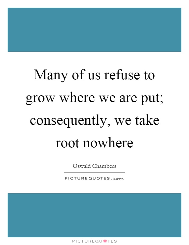 Many of us refuse to grow where we are put; consequently, we take root nowhere Picture Quote #1