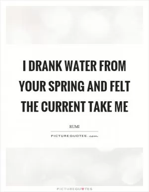 I drank water from your spring and felt the current take me Picture Quote #1