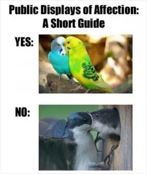 Public displays of affection. A short guide. Yes. No Picture Quote #1