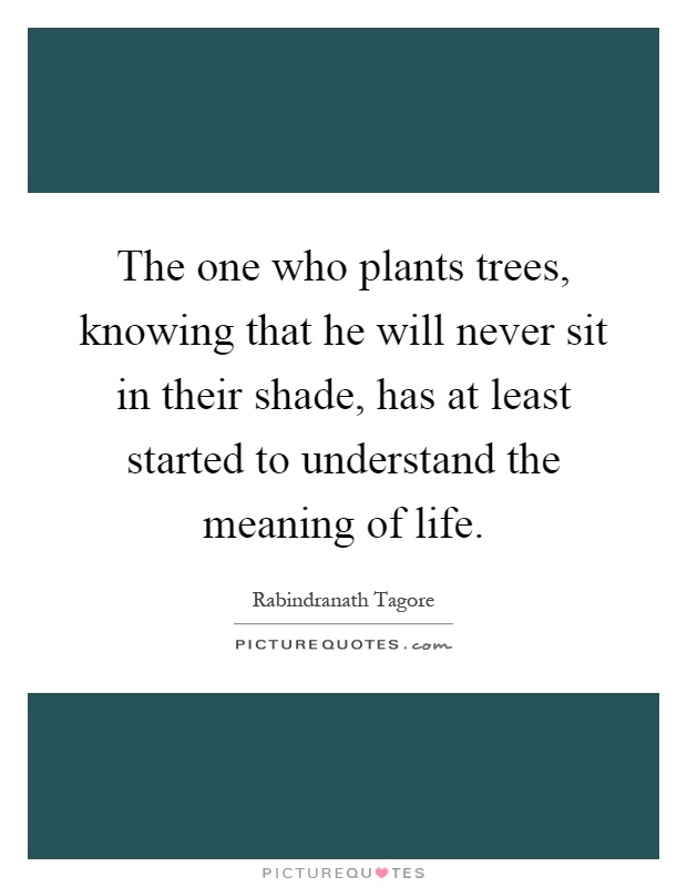 The one who plants trees, knowing that he will never sit in their shade, has at least started to understand the meaning of life Picture Quote #1