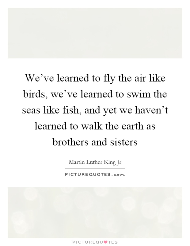 We've learned to fly the air like birds, we've learned to swim the seas like fish, and yet we haven't learned to walk the earth as brothers and sisters Picture Quote #1