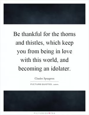 Be thankful for the thorns and thistles, which keep you from being in love with this world, and becoming an idolater Picture Quote #1