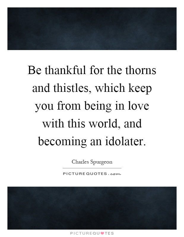 Be thankful for the thorns and thistles, which keep you from being in love with this world, and becoming an idolater Picture Quote #1