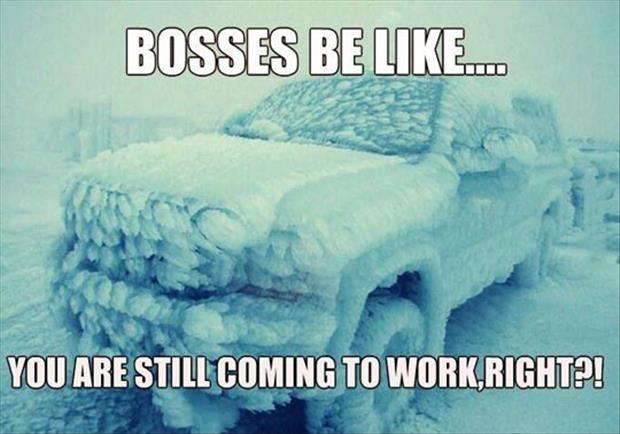 Bosses be like... yo are still coming to work, right? Picture Quote #1