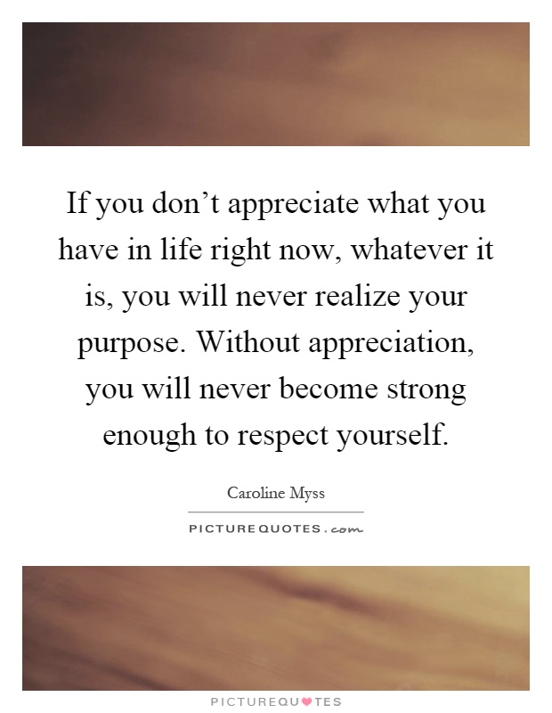 If you don't appreciate what you have in life right now, whatever it is, you will never realize your purpose. Without appreciation, you will never become strong enough to respect yourself Picture Quote #1