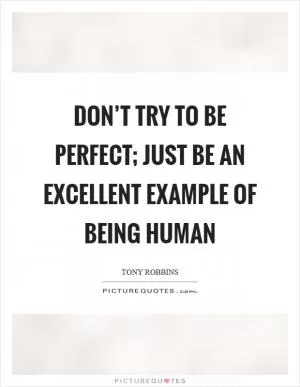 Don’t try to be perfect; just be an excellent example of being human Picture Quote #1