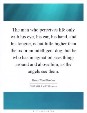 The man who perceives life only with his eye, his ear, his hand, and his tongue, is but little higher than the ox or an intelligent dog; but he who has imagination sees things around and above him, as the angels see them Picture Quote #1