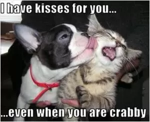I have kisses for you even when you are crabby Picture Quote #1
