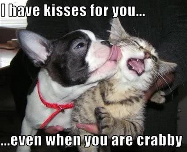 I have kisses for you even when you are crabby Picture Quote #1