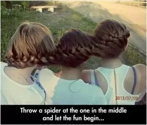 Throw a spider in the middle and let the fun begin Picture Quote #1